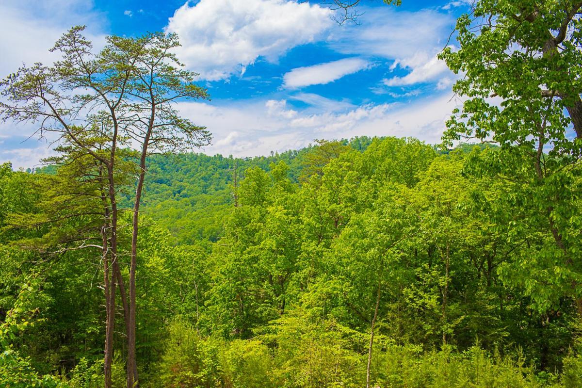 Nature'S Paradise Sevierville Kültér fotó